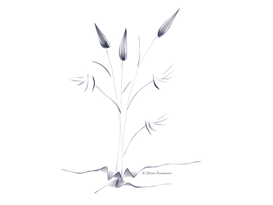 Asian Flower 01 - digitale Zeichnung mit Krita