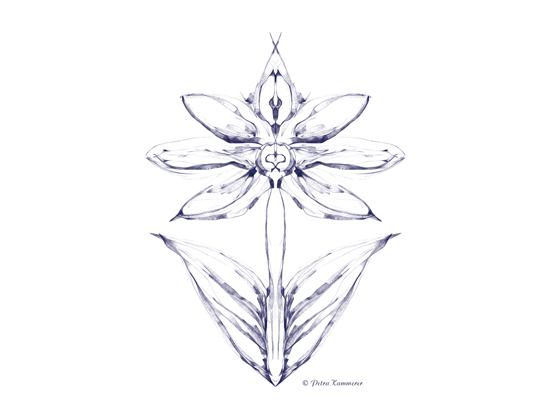 Flower 01 - digitale Zeichnung mit Krita