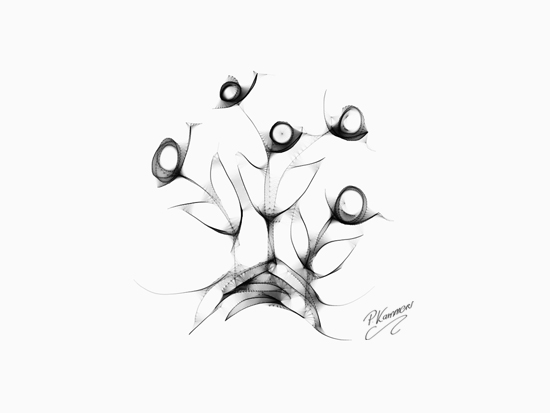 Blumen - digitale Zeichnung mit Harmony - Mr.doob